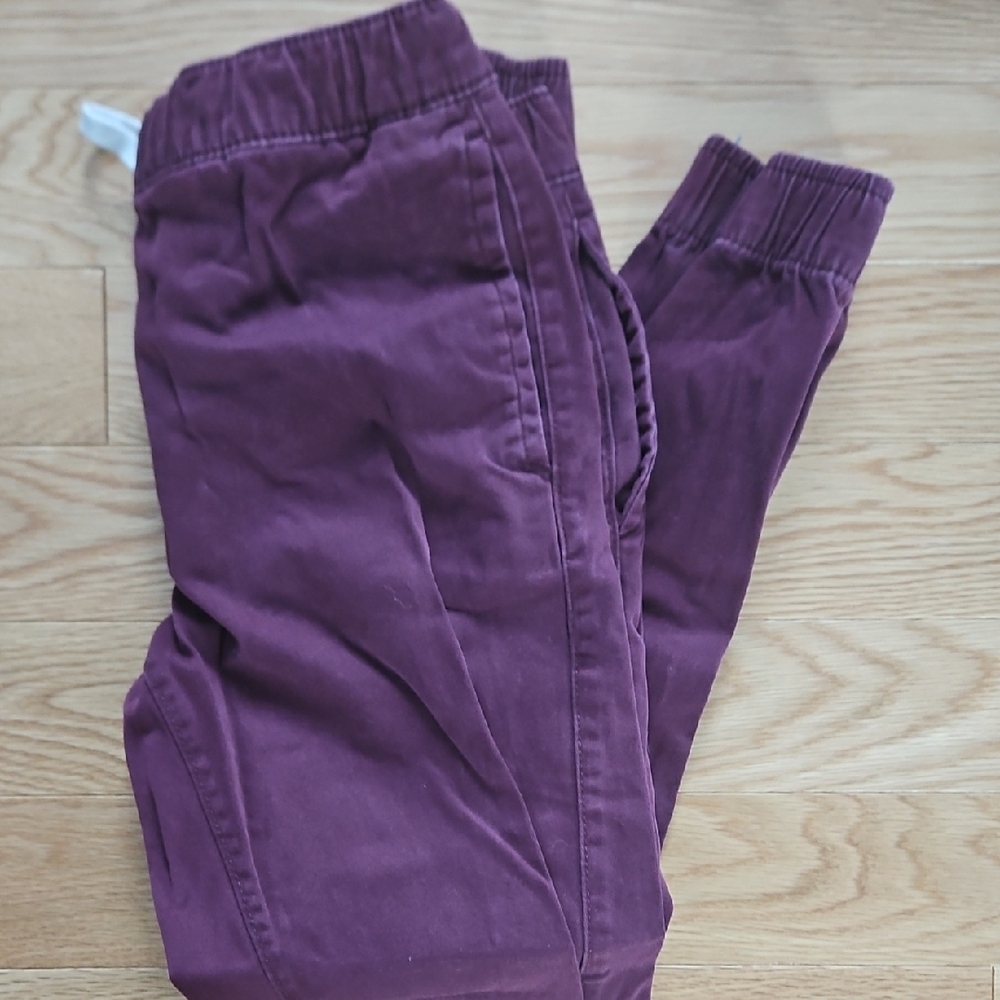 Arizona Jean Company Men's Purple Sweatpants